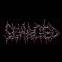 Devourment of Redisgorged Putrid Rectal Skin